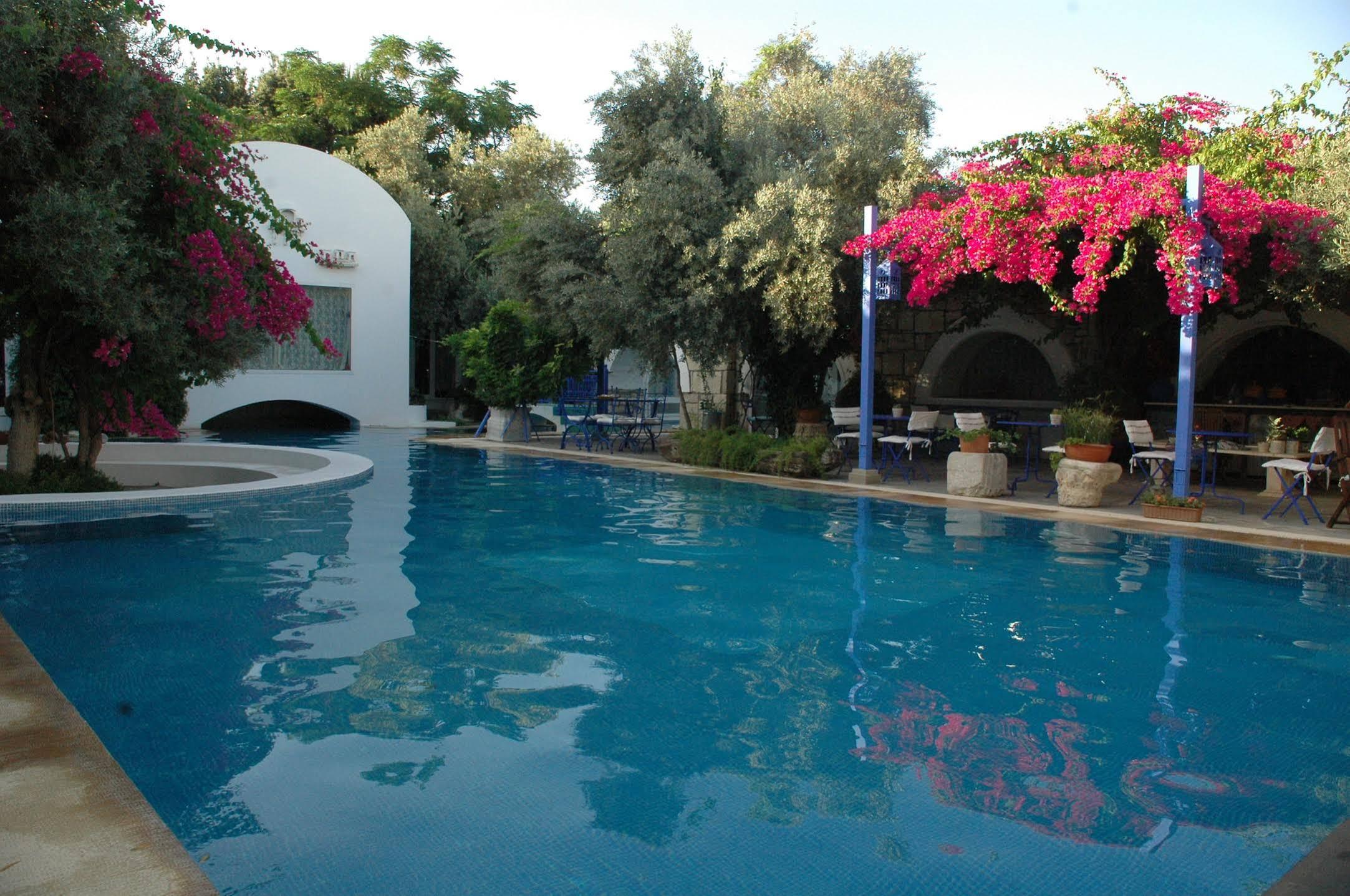 Villa Oliva Butik Hotel Konacik Extérieur photo